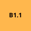 B1.1